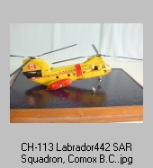 Ch-113