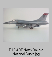 F-16 North Dakota Air National Guard 48th scale model