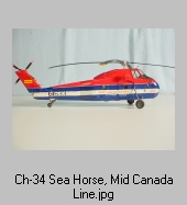Sea Horse