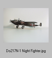 Do 217 N-1 Night Fighter